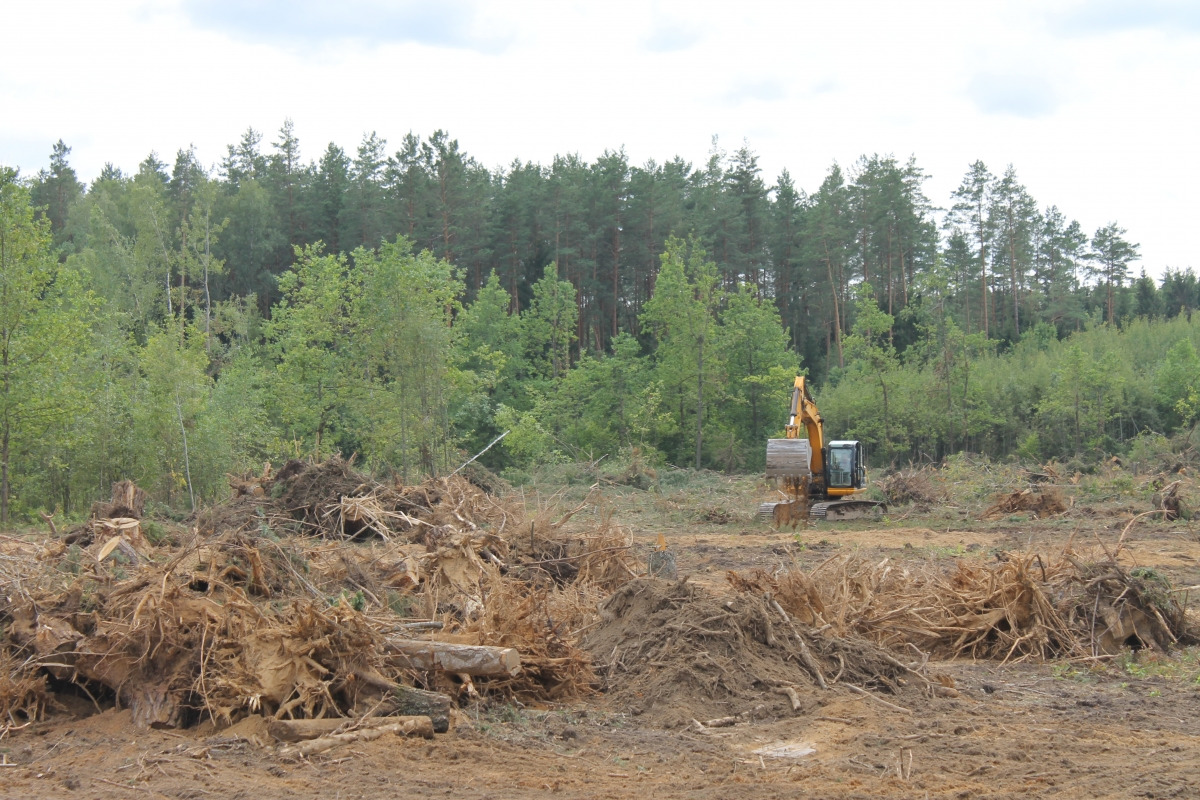 Выкорчёвывание и удаление деревьев. Удаление леса и корчевка